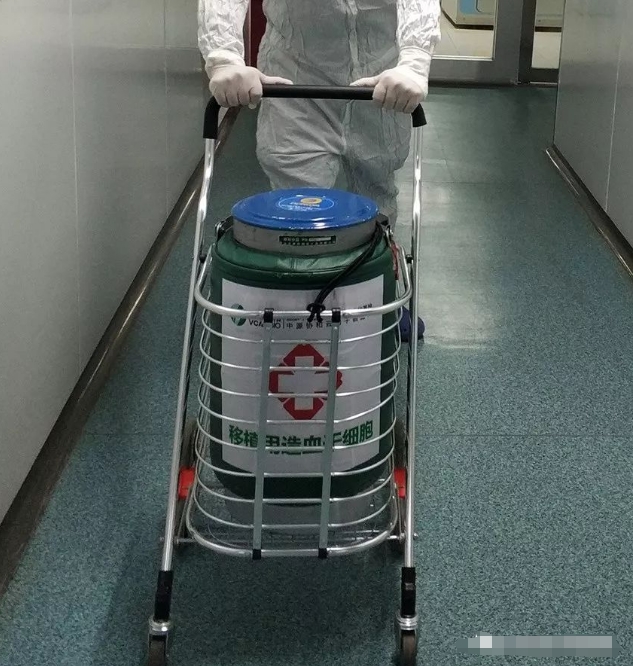 使用东亚系列液氮罐转运中